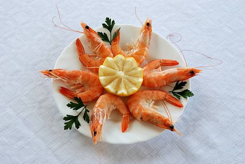 خرید استثنایی میگو سرتیز